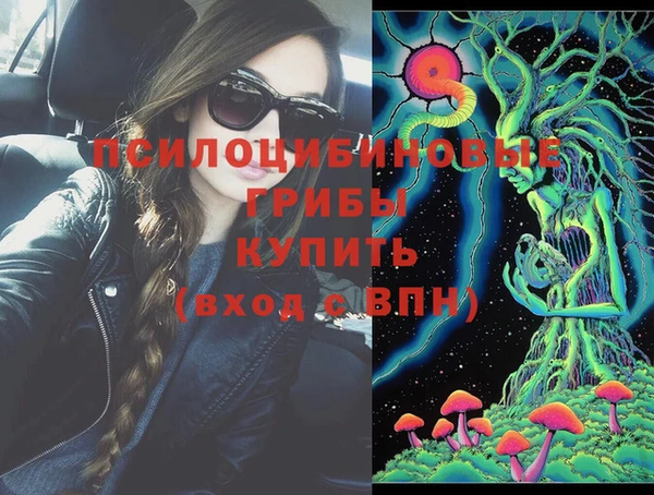 спиды Абаза