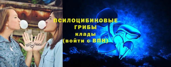 стафф Приозерск